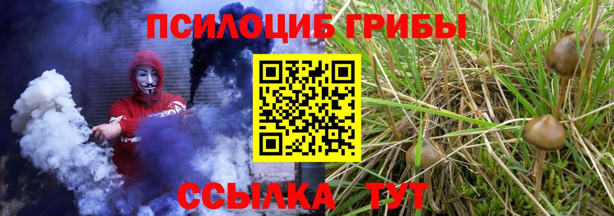 Псилоцибиновые грибы Psilocybe Урус-Мартан