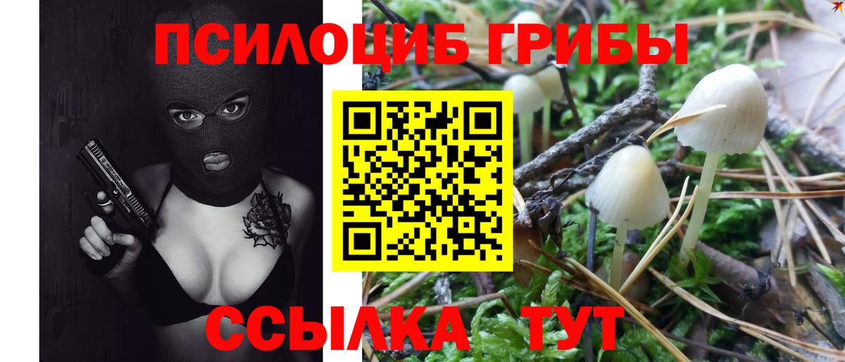 Урус-Мартан  Псилоцибиновые грибы прущие грибы  Вход с VPN 
